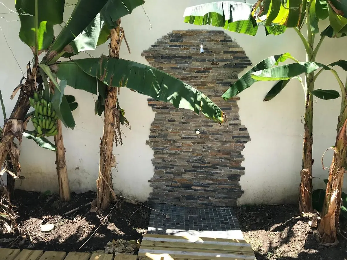 ** Guest house Centro De Santiago Hotel Santiago De Los Caballeros Dominican Republic